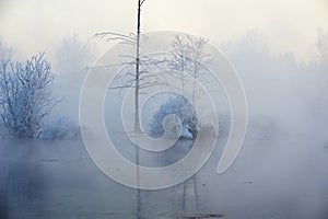 The hard rime of trees in winter fog river