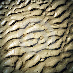 Hard Rippled Sand