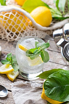 Hard seltzer cocktail with lemon and zero waste bartenders accessories