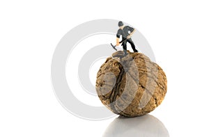 Hard to crack walnut