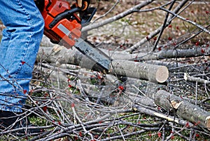 Man Using a Chainsaw