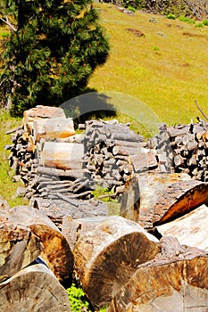 Hard Work. Dry Fireplace Wood Pile to Split