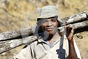 Hard working man carrying a tree trunk - MADAGASCAR