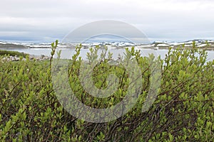 The Hardangervidda Plateau in Hallingskarvet National Park, Norway, Europe, with lake Ustevatn.