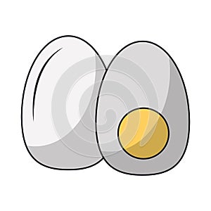 Hardboiled eggs isolated