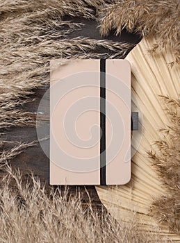 Hardcover texbook on dry beige palm leaf near pampas grass top view, mockup