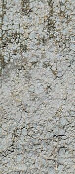 Hardened clay on the banks of a mountain river