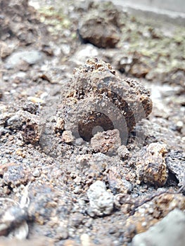 Hardened ground ,rocks , stone formacion procces