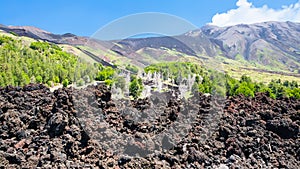 Hardened lava flow on slope of Etna volcano