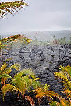 Hardened lava rock