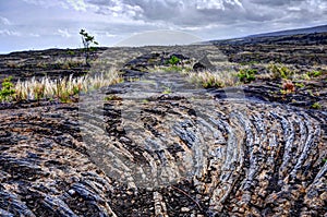 Hardened lava rock