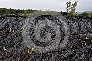 Hardened lava rock photo