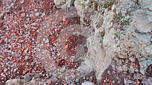 The hardened lava rocks in Iceland placed near volcano, close up