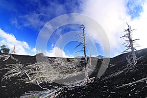 Hardened lava on volcano slope of Etna