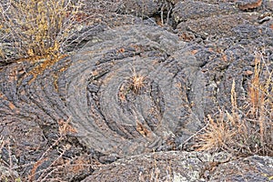 Hardened Pahoehoe Lava