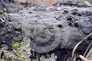 Hardened resin cover old beton block. Texture. Abstract background