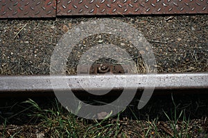 Hardened steel railroad tHardened steel railroad tracks photographed on a sunny spring dayracks photographed on a sunny spring day