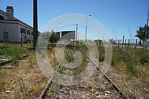 Hardened steel railroad tHardened steel railroad tracks photographed on a sunny spring dayracks photographed on a sunny spring day