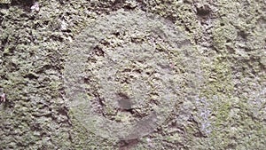 Hards texture for background