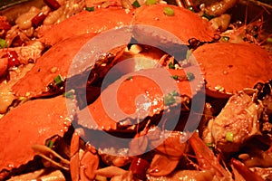 hardshell crab pot