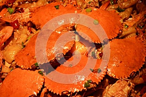 hardshell crab pot