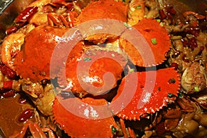 hardshell crab pot