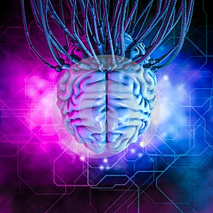 Hardwired virtual reality human brain