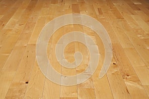 Hardwood basketball court floor viewed from a low angle