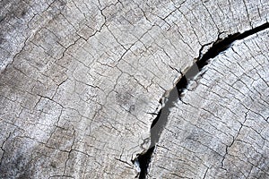 Hardwood cracks textured background for design and all inspirations creative
