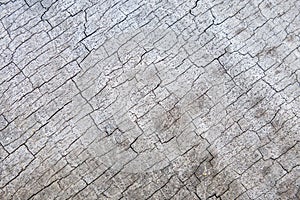 Hardwood cracks textured background for design and all inspirations creative