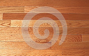 Hardwood Floor Background photo