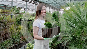 Hardworking farmer woman in a greenhouse holding box with flower pots. Home gardening