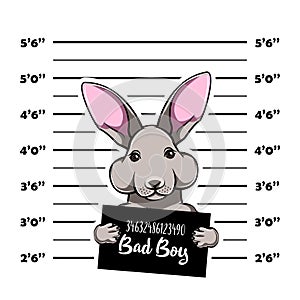 Hare bad boy. Bunny criminal. Arrest photo. Police records. Hare prison. Police mugshot background. Vector.