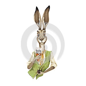 Hare bartender in a vest and with beer isolated on a white background