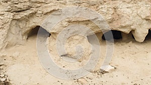 Hare burrow in the mountain in Spain