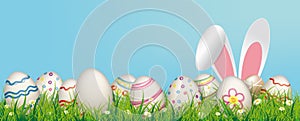 Hare Ears Natural Easter Eggs Blue Header