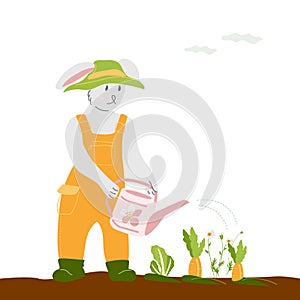 Hare gardener watering vegetables in the garden