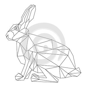 Hare geometric style