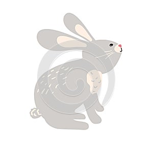 Hare or rabbit animal icon. Vector isolated zoology flat design of forest wild jackrabbit hare white and brown for