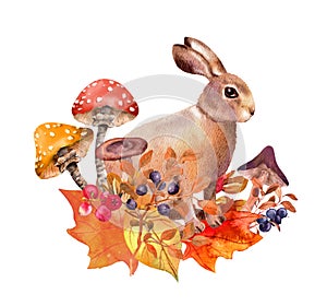 Hare, rabbit in fall design. Mushrooms, autumn leaves, berries bouquet. Beautiful hand painted drawing, forest animal