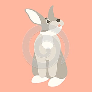 Hare rabbit vector illustration flat style front side