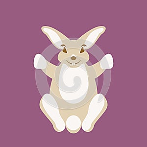 Hare rabbit vector illustration flat style front side