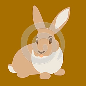 Hare rabbit vector illustration flat style front side