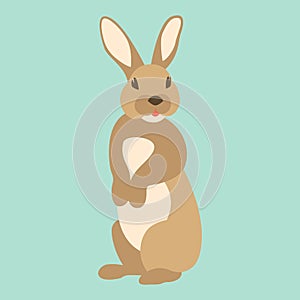 Hare rabbit vector illustration flat style front side