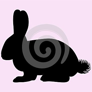 Hare rabbit vector silhouette