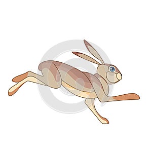 Hare running. Rabbit wild northern forest animal. Cartoon character of a small mammal animal. A wild forest creature