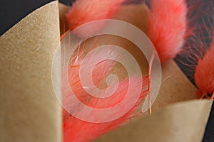 Hare`s-tail lush pink grass bouquet in the brown rough parchment. Close up