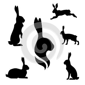 Hare set vector photo