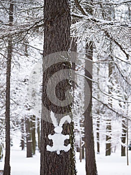 Hare silhouette of snow cleave to the bark of a tree