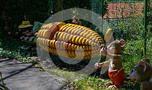 Hare steals corn kernels from the corncob in the amusement park MÃÂ¤rchenwald, Wolfratshausen, Bavaria-April 18,2018